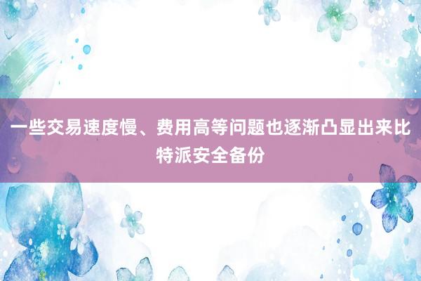 一些交易速度慢、费用高等问题也逐渐凸显出来比特派安全备份