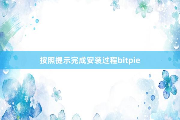 按照提示完成安装过程bitpie