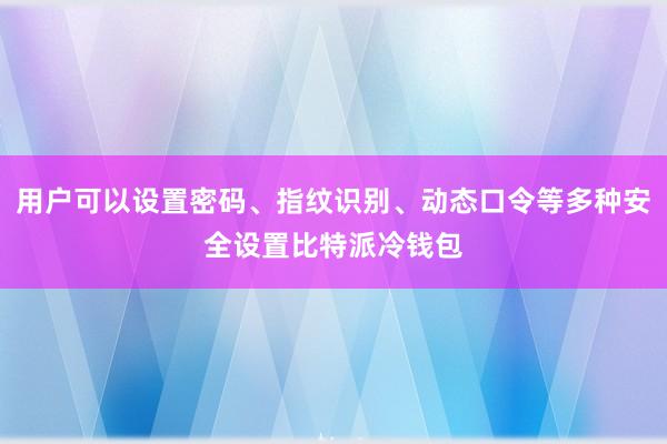 用户可以设置密码、指纹识别、动态口令等多种安全设置比特派冷钱包