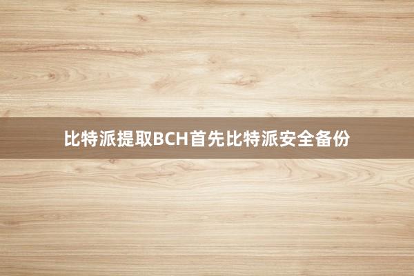 比特派提取BCH首先比特派安全备份