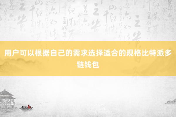 用户可以根据自己的需求选择适合的规格比特派多链钱包