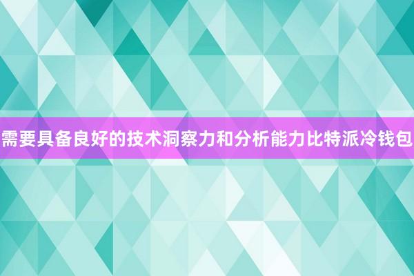 需要具备良好的技术洞察力和分析能力比特派冷钱包