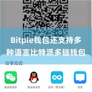 Bitpie钱包还支持多种语言比特派多链钱包